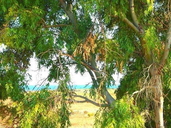 B&B Casa Cavarra Portopalo Di Capo Passero Eksteriør bilde