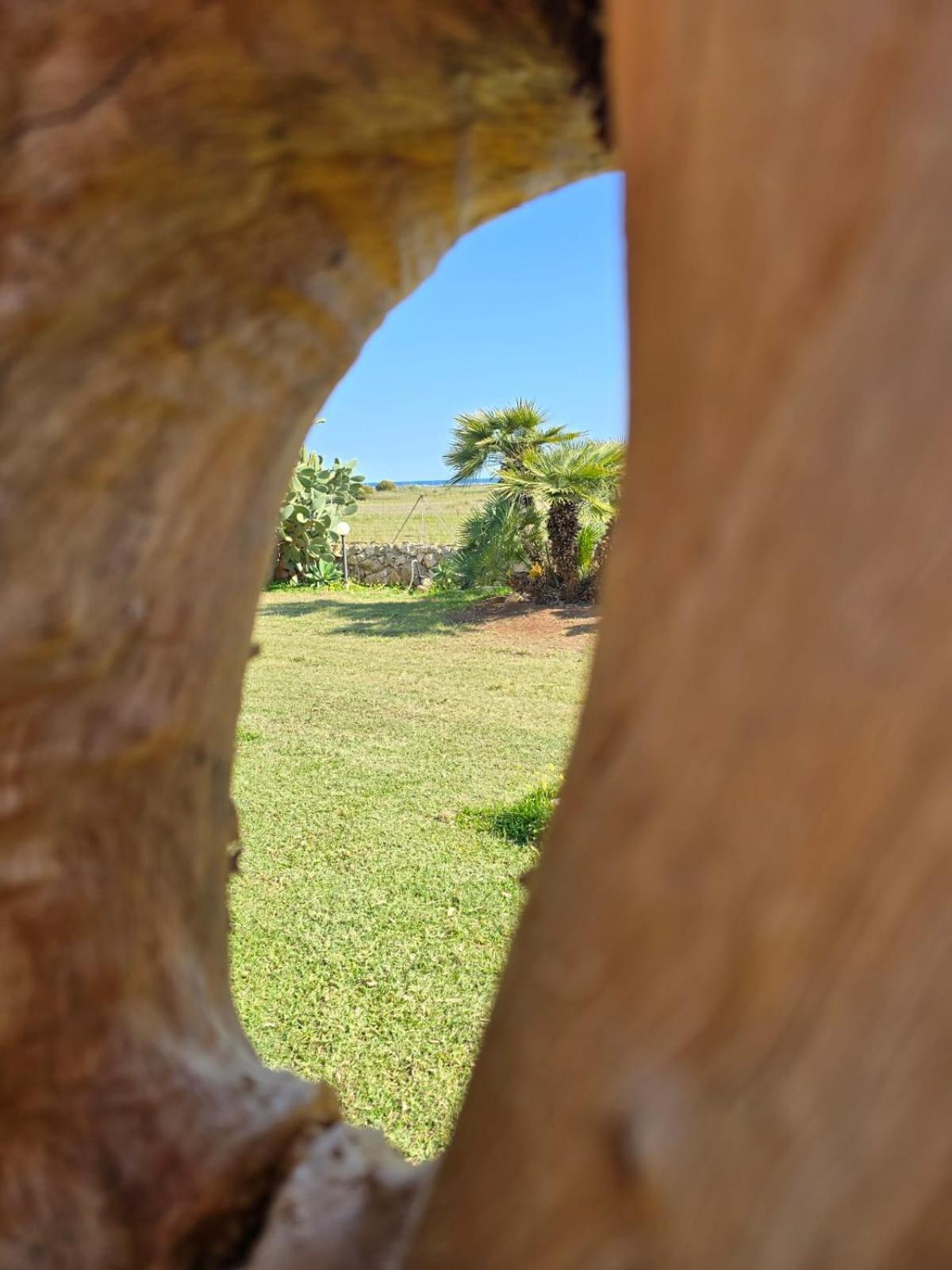 B&B Casa Cavarra Portopalo Di Capo Passero Eksteriør bilde