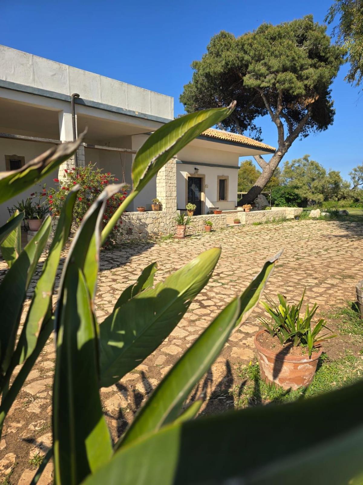 B&B Casa Cavarra Portopalo Di Capo Passero Eksteriør bilde